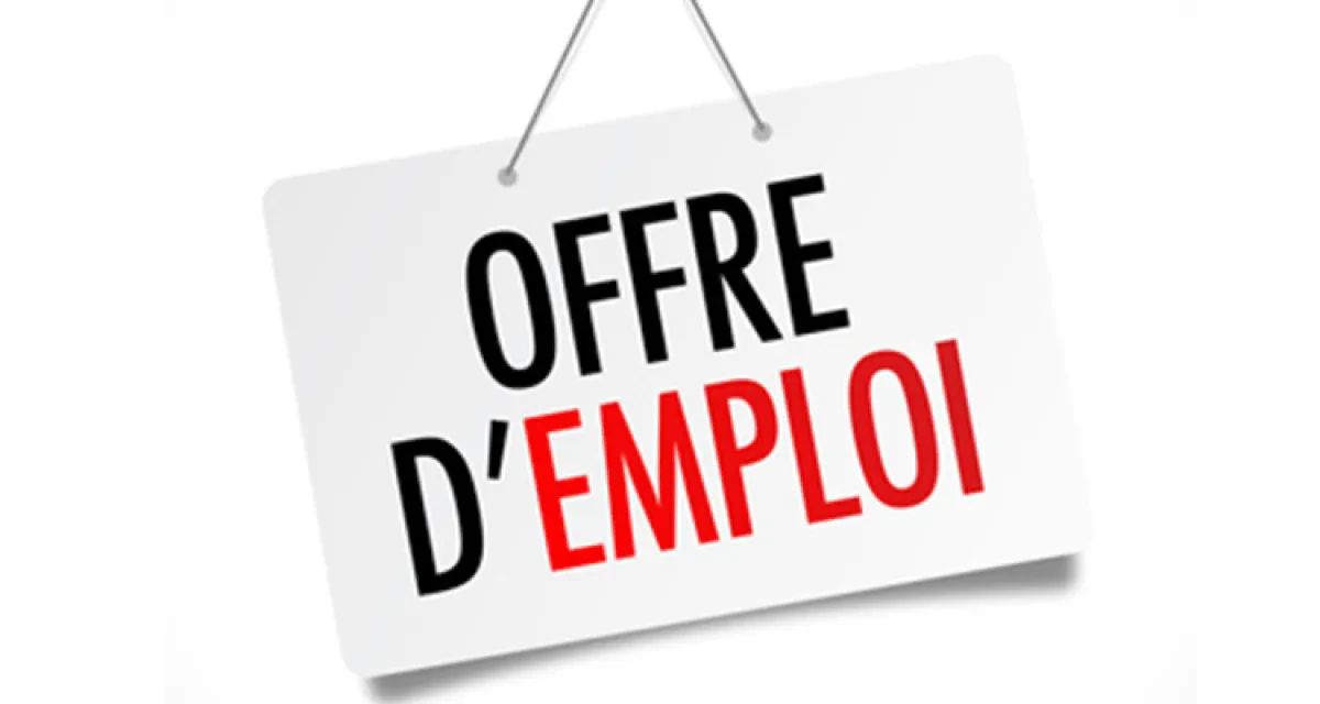 La GIZ recrute un(e) Conseiller(ère) en santé publique et réglementation pharmaceutique