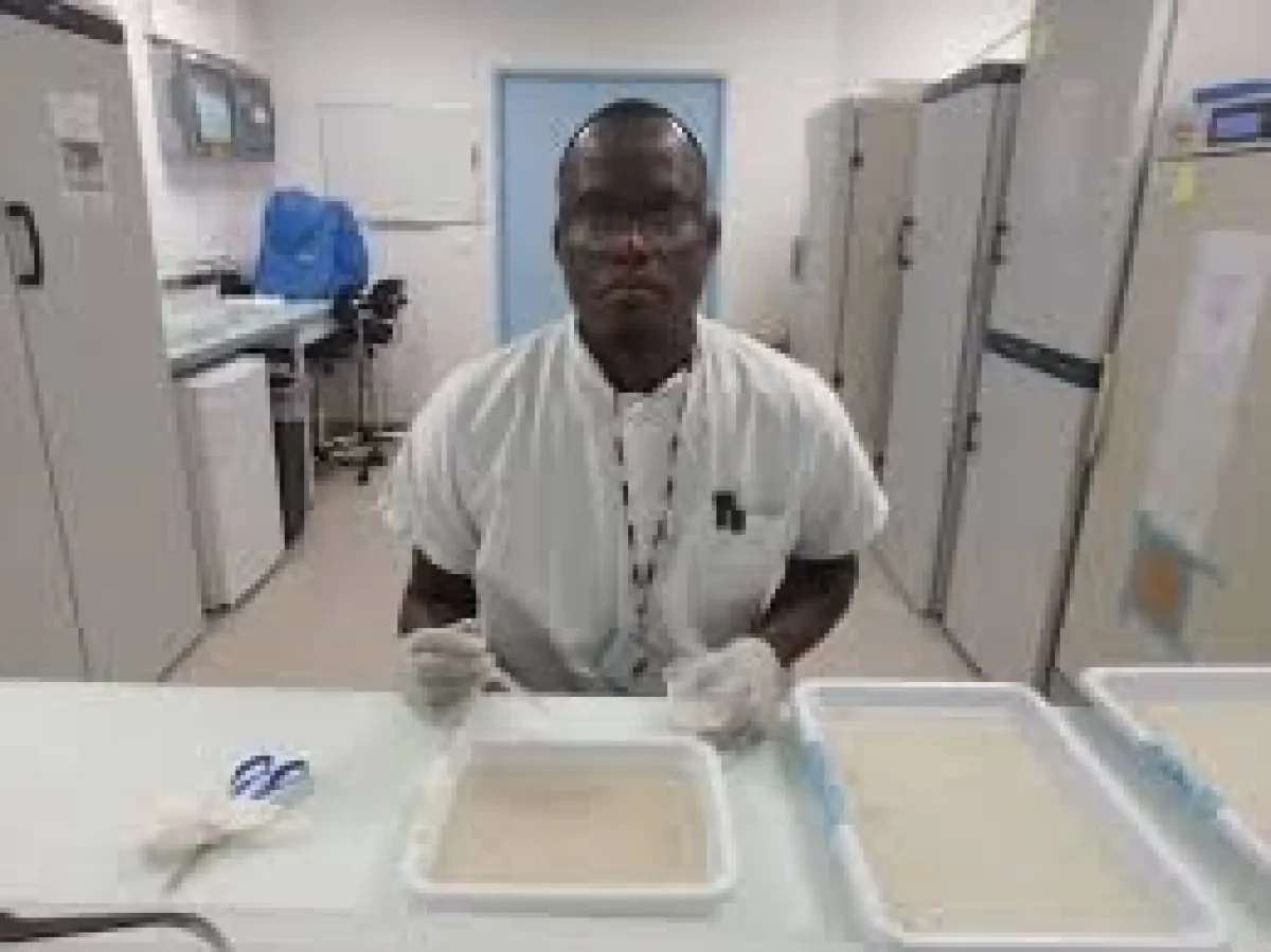 Lutte contre le paludisme : immersion au cœur du Laboratoire d’écologie vectorielle et parasitaire