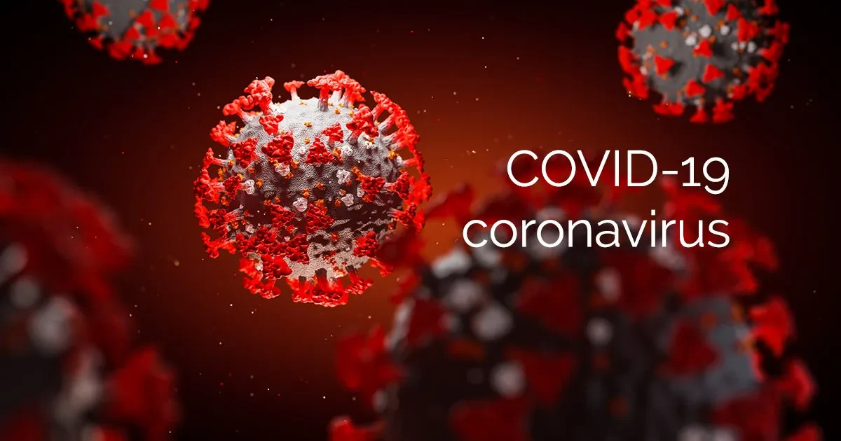 Covid-19 : les anticorps persistent jusqu’à 13 mois après une infection